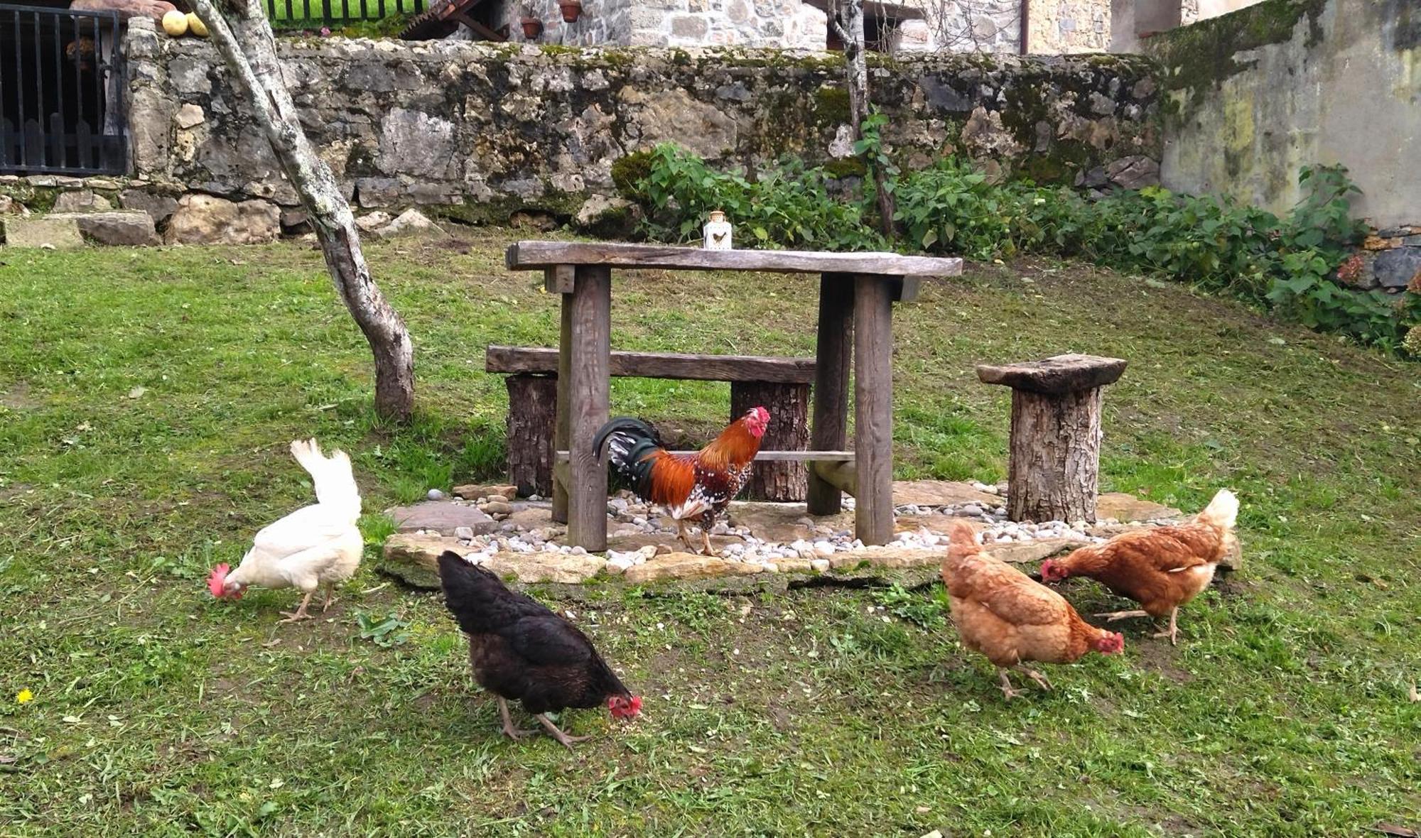 Casa Rural El Cotu En Onís Buitenkant foto